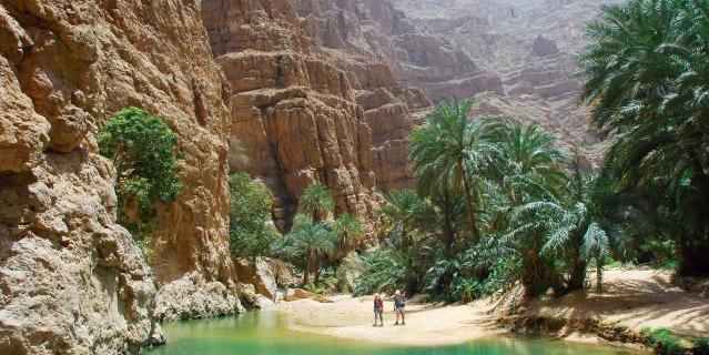 Tunisie: Projet pilote à Mareth Oasis-forêts riches en fruits, recréées