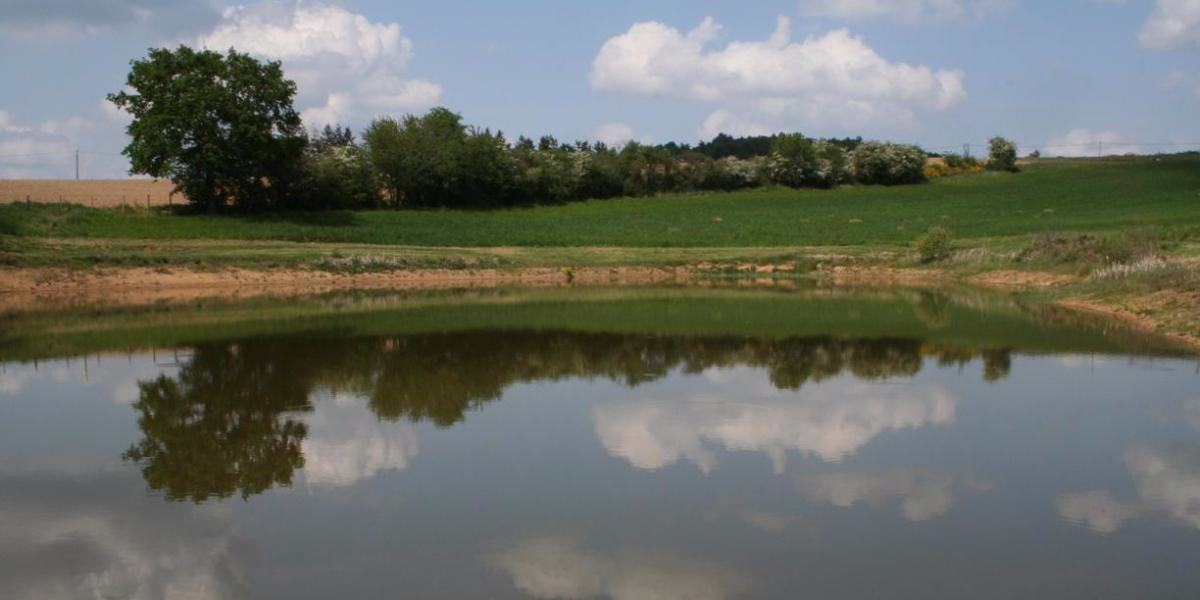 Algérie : Ressources en eau , 60 milliards DA d’investissements dans 22 nouveaux projets