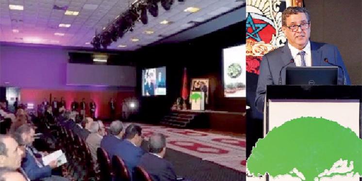 Maroc : Pour encourager la recherche et développement dans la filière , Aziz Akhannouch mise gros sur le Centre national de l’arganier