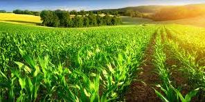 Vers la création d'un pôle d'excellence pour la formation à Mostaganem Coopération Algéro-allemande dans le domaine agricole