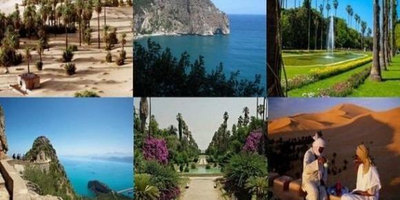 Benmessaoud évoque avec le Coordonnateur résident du PNUD en Algérie, la coopération dans le domaine du tourisme