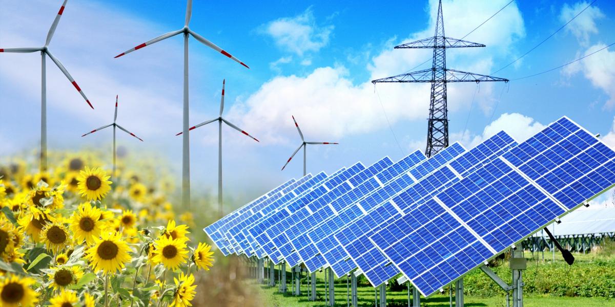 60% des énergies renouvelables devraient être dirigés vers le secteur agricole
