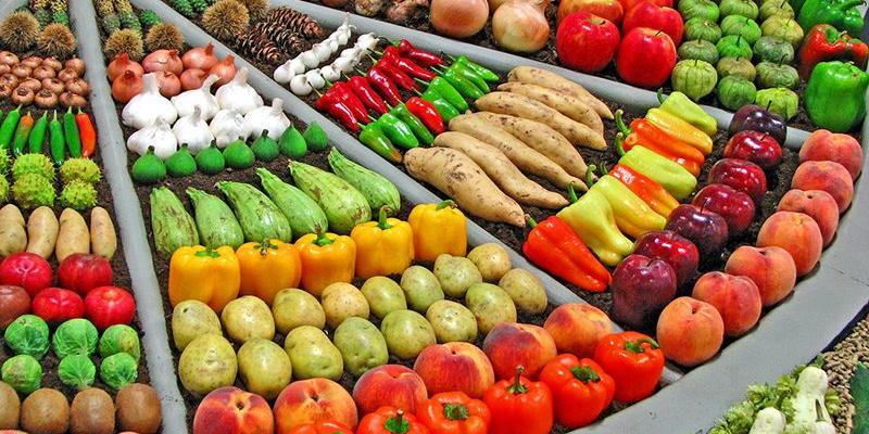تصدير المنتجات الفلاحية يتزايد بوتيرة سريعة الجمعية الوطنية للمصدرين الجزائريين