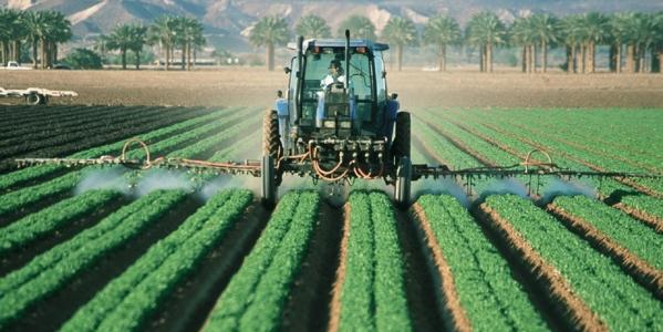 Agriculture: Mostaganem met le cap sur le bio