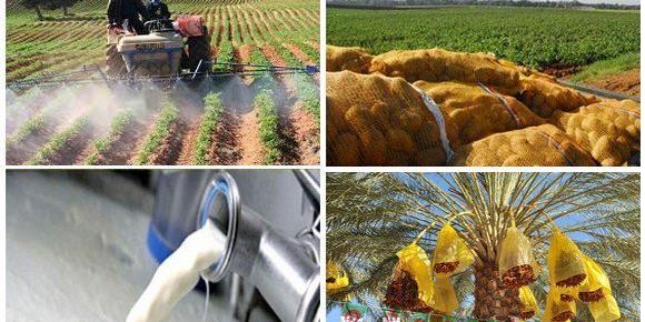 الغرف الفلاحية مدعوة للانخراط أكثر في جهد التنمية الوطنية