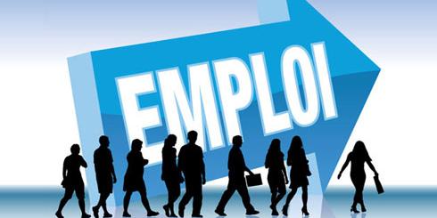 63% of workers employed in private sector in Algeria
