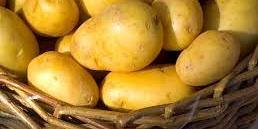 Algérie: Pommes de terre ,"aucun stock spéculatif" au niveau des chambres froides de la région d’Oran