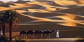 Algérie: Des journalistes et des opérateurs touristiques nationaux et étrangers à la découverte du Gourara