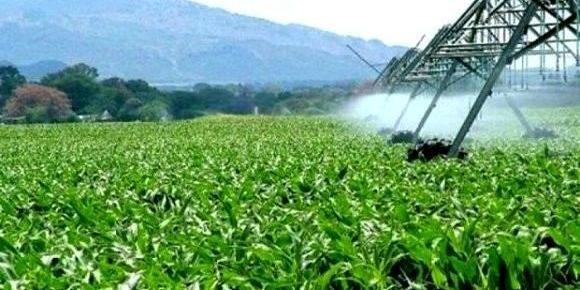Algérie: Plaidoyer pour une agriculture «raisonnée» SECURITE ALIMENTAIRE