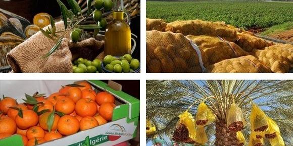 Algérie-Commerce: Nouvelle campagne à l'international du «Made in bladi»