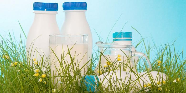 Maroc-Filière laitière Plus de 63% des exportations de lait va en Mauritanie