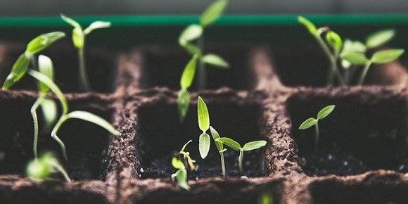 Algérie-Assises nationales sur l'environnement et les énergies renouvelables relatives à l'économie verte en février 2019