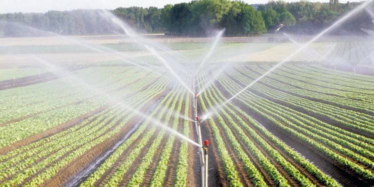 Algérie-Programme d'extension des superficies irriguées: Un taux de réalisation de 66% à fin 2018