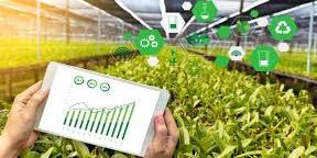 ALGIERS-Digitization of agriculture, paramount necessity