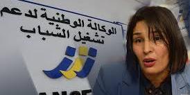 الجزائر-المؤسسات المصغرة: نحو اعداد خريطة نشاطات لتوجيه المشاريع حسب متطلبات التنمية المحلية