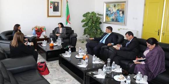 الجزائر/ألمانيا/الأمم المتحدة: بحث وتطوير سبل الشراكة في مجال البيئة والطاقات المتجددة