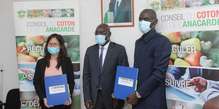 Cote d'ivoire:Filière cajou ;Un partenariat stratégique de 150 000 tonnes signé entre le GIE/GPA et le groupe Vietnamien T&T