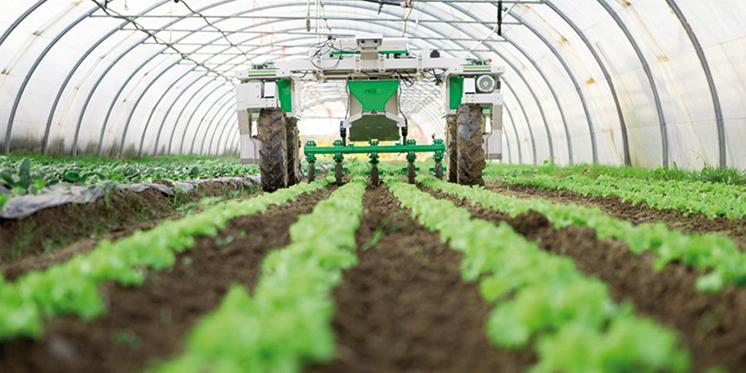 Maroc:«Al Jayl Al Akhdar» et spécificités régionales , La tutelle planche sur les potentialités agricoles territoriales