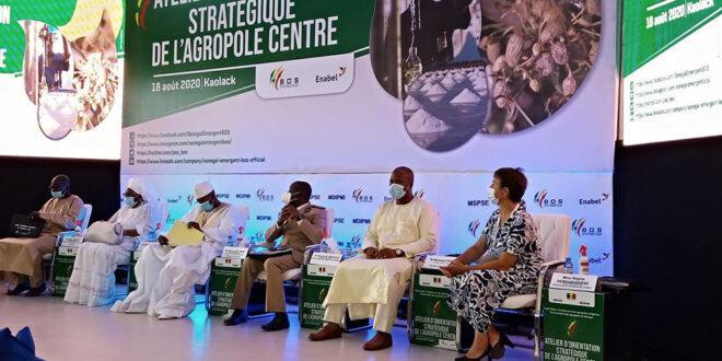 Sénégal:PSE,Lancement du projet “Agropole Centre” pour l’autosuffisance alimentaire