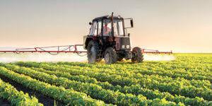 Maroc: Un plan d'action au profit des agriculteurs des terres collectives