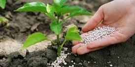 Maroc: Le phosphate est d' une importance stratégique pour le Brésil