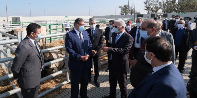 MAROC:INAUGURATION D’UN MARCHÉ MODERNE À BESTIAUX À SIDI BENNOUR