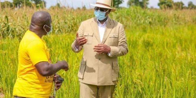 Sénégal:Macky Invite Le Secteur Privé Dans L’agro-Business