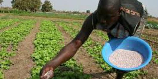 Nigeria to end fertilizer importation by 2023