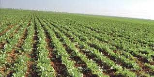 Maroc: Légère hausse des subventions du Fonds de développement agricole en 2021