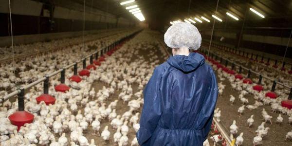 Maroc: le Crédit Agricole du Maroc soutient la relance du secteur