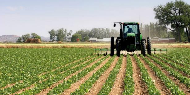 Maroc: La campagne agricole démarre sous de bons auspices à Khénifra