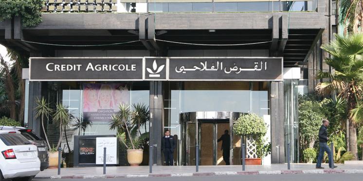 Maroc: Le Crédit Agricole affirme son soutien total à la filière oléicole
