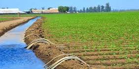 Maroc: Fès-Meknès : redonne espoir aux agriculteurs