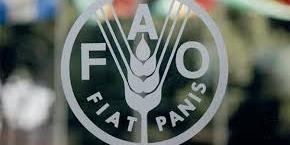 Maroc: mises en lumière à la FAO