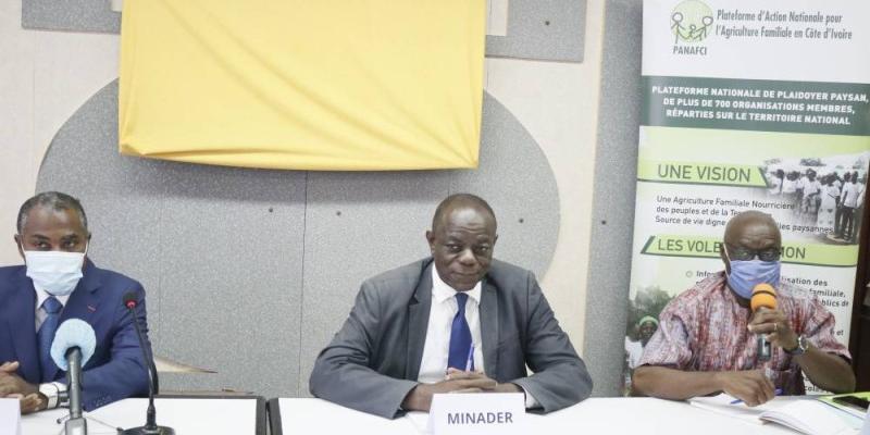Côte d’Ivoire:Agriculture familiale 2019-2028, Une feuille de route pour renforcer sa prise en compte dans les politiques agricoles
