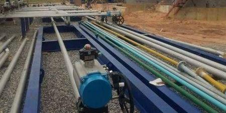 Nigéria : Buhari inaugure une installation de traitement du gaz torché dans l’Etat d’Edo