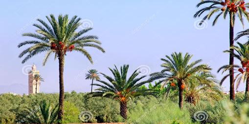 Maroc: Approche historique et environnementale»