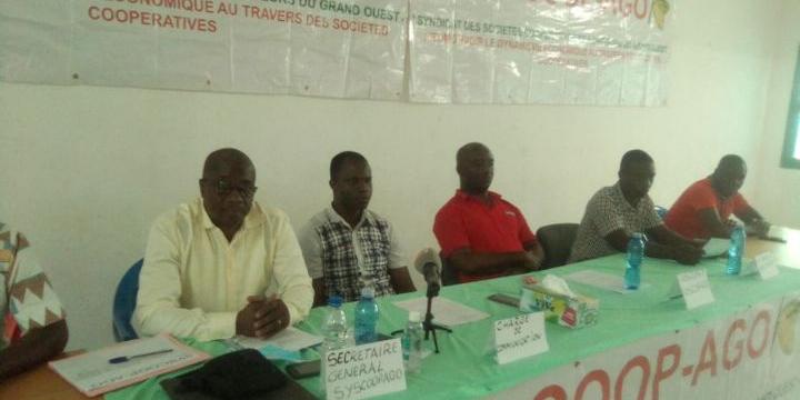 Côte d’Ivoire:Man / Café-cacao , Les planteurs cherchent acheteurs