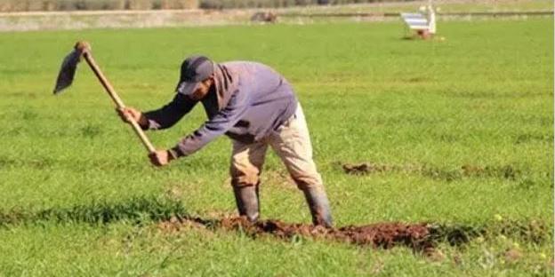 Morocco : Rural Development, 59% of Projects Completed