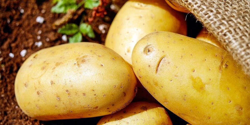 Morocco : Agriculture, Moroccan Exports Spark Concerns Among Spanish Operators