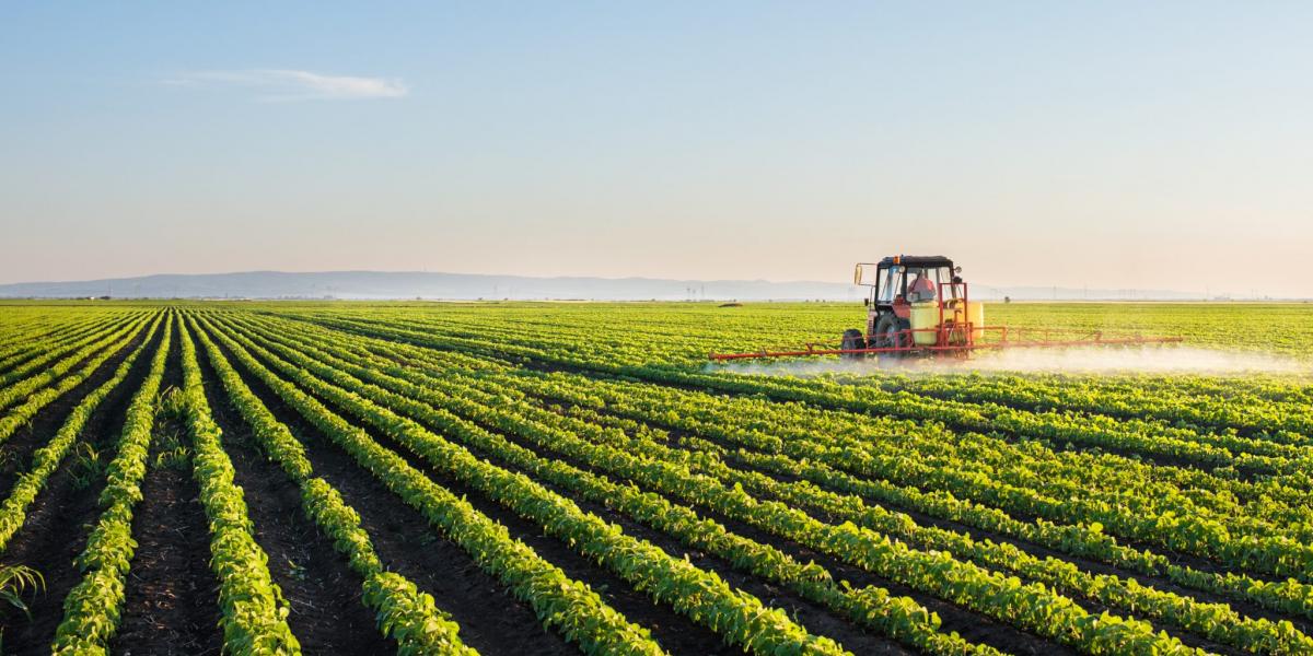 Algérie: Agriculture/Micro-entreprises: signature d'un avenant d'une convention-cadre