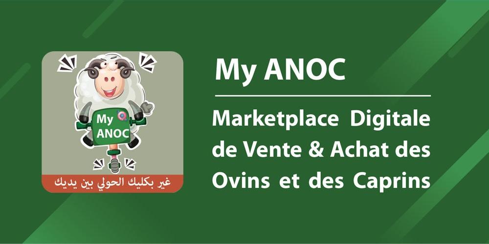 Maroc : Lancement de la plateforme “My ANOC” pour la vente des ovins et caprins