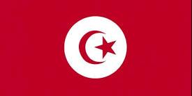 تونس تشارك في فعاليات مؤتمر الطاقة العربي في نسخته الـ12