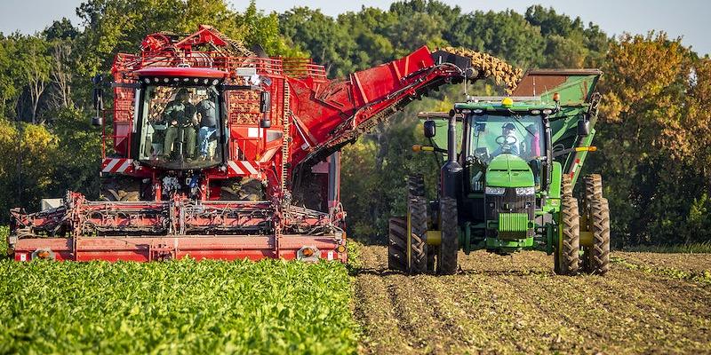 algerie_Mise en valeur des terres agricoles: Vers la régularisation du dossier d'ici à janvier 2024